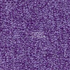 Ковролин Radici Trotter Viola 2421 фото 1 | FLOORDEALER